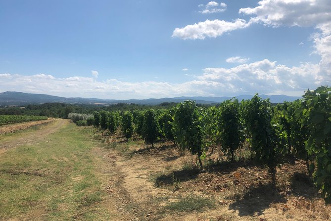 Private Wine Tour of Chianti or Montalcino - Additional Information