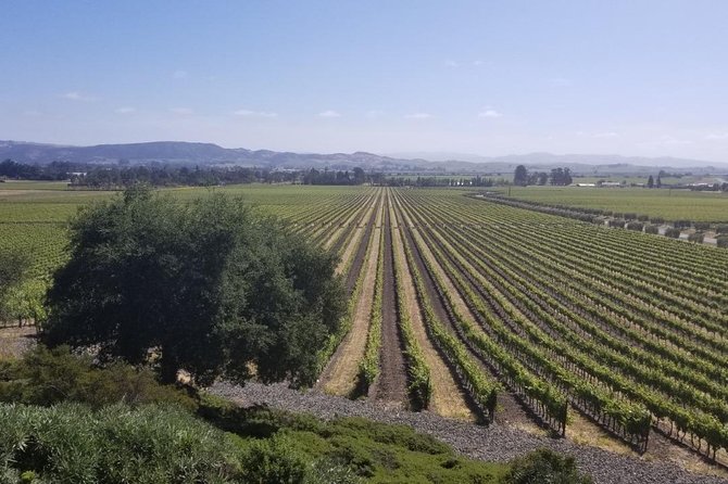 Private Wine Tour of Napa and Sonoma up to 14 People - Overview of the Tour