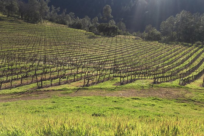 Private Wine Tour of Napa and Sonoma up to 14 People - Tour Inclusions