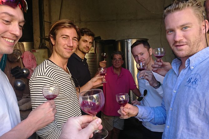 Private Wine Tour of the Vineyards on the French Riviera - Wine Tasting Experiences