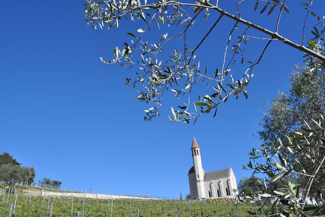 Private Wine Tour of the Vineyards on the French Riviera - Expert Guides