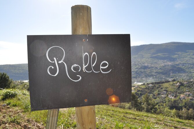 Private Wine Tour of the Vineyards on the French Riviera - Common Questions