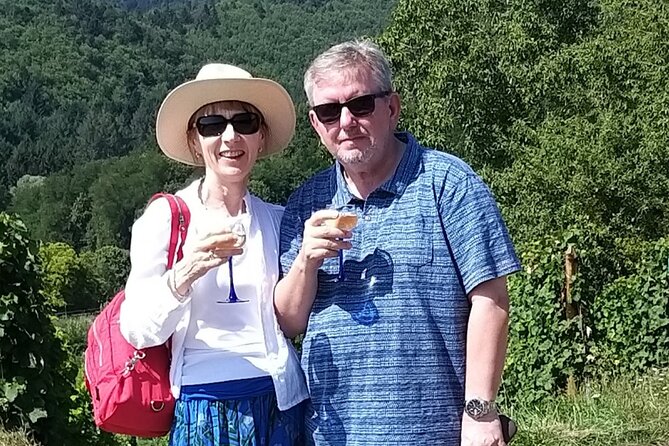 Private Wine Tour to Alsace - Tour Itinerary and Highlights