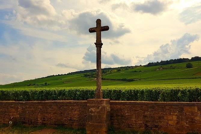 Private Wine Tour to Burgundy Region From Paris - Overview of the Burgundy Wine Tour