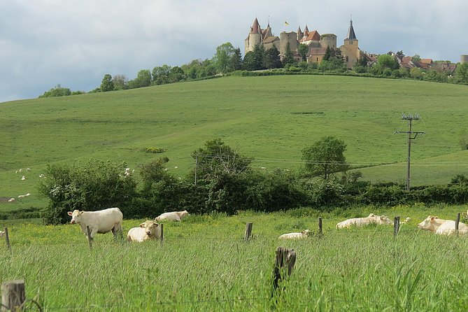 Private Wine Tour to Burgundy Region From Paris - Private Guides Insights on Burgundy Wine