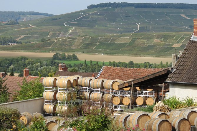 Private Wine Tour to Champagne Region From Paris - Champagne House Tours