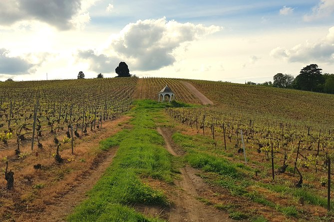 Private Wine Tour to Champagne Region From Paris - Pricing and Booking Information