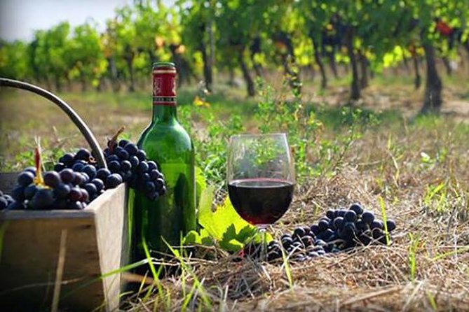 Private Wine Tour to Kakheti From Tbilisi - Meeting and Pickup