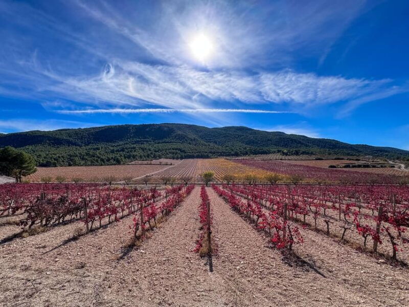 Private Wine Tour to the Costa Blanca Wineries - Key Points