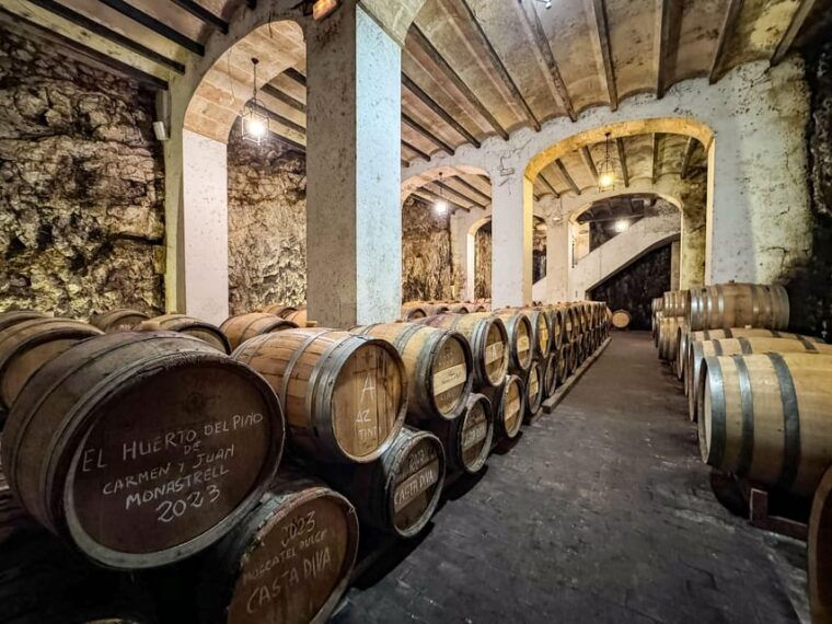 Private Wine Tour to the Costa Blanca Wineries - Preparation and Recommendations