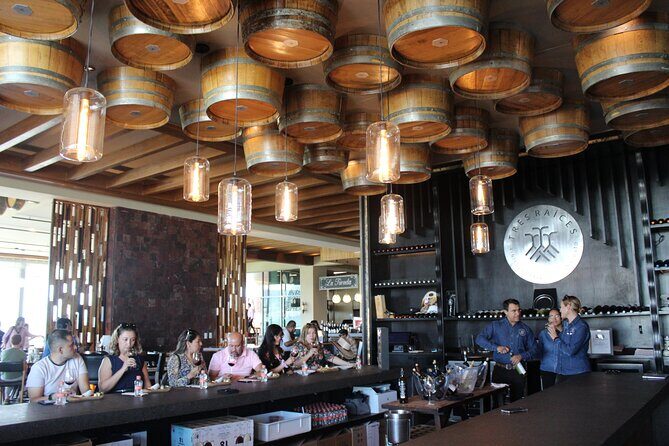 Private Wine Tour, Winemaker for a Day, Wine Pairing and Tasting - Wine Pairing and Tasting Options