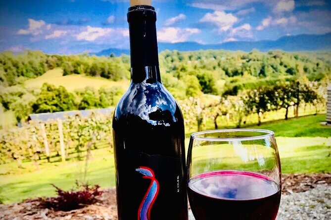 Private Wine Tour with Dine in Black Mountain from Asheville - Exploring the Itinerary in Detail