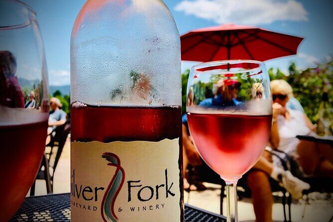 Private Wine Tour with Dine in Black Mountain from Asheville - The Experience from a Traveler’s Perspective