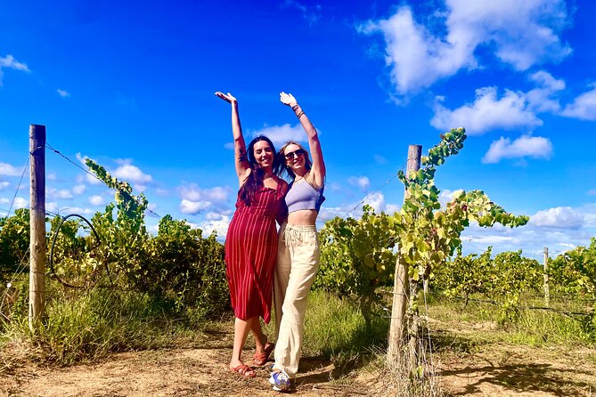 Private Wine Tour With Food & Wine Tasting in Southern Lisbon - Highlights of the Tour