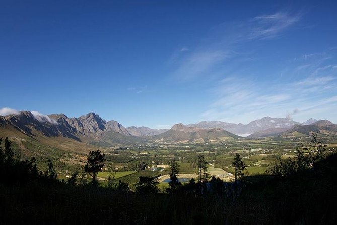 Private Wine Tour With Wine Expert to Stellenbosch-Franschhoek Wine Regions - Additional Information and FAQs