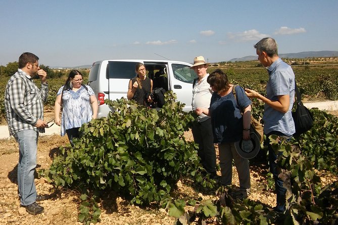 Private Wine Tour With Wine Tasting and Full Lunch - Pickup and Logistics