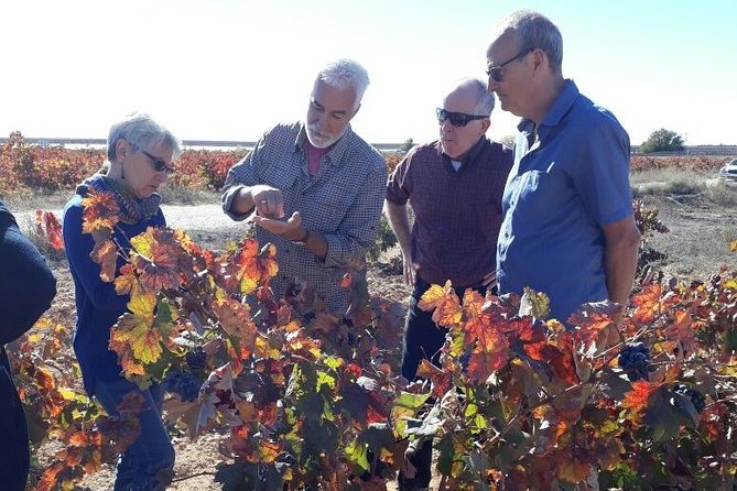 Private Wine Tour With Wine Tasting and Full Lunch - Featured Review
