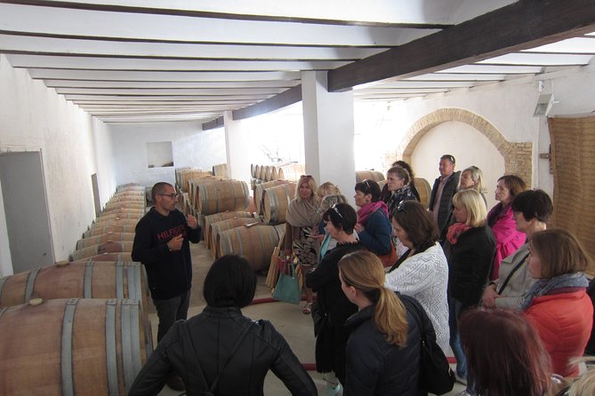 Private Wine Tour With Wine Tasting and Full Lunch - The Sum Up