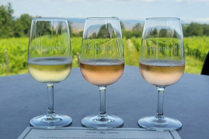 Private Wine Tours from Halifax - Who Should Book This Tour?