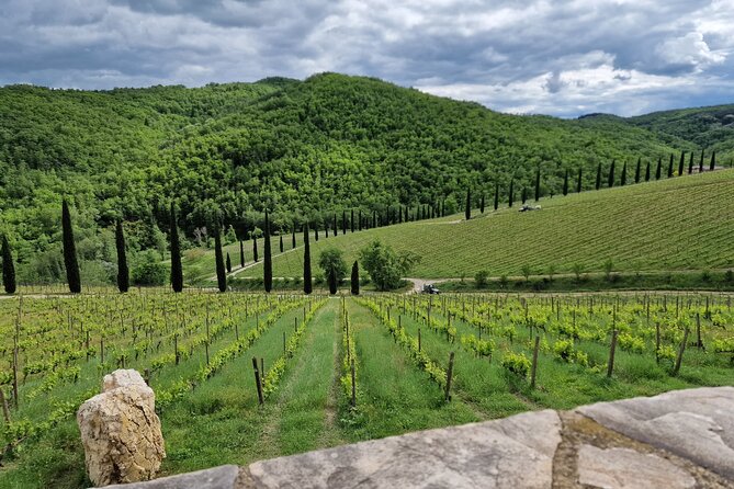 PRIVATE WINE TOURS VIP Wines and Wineries of Chianti Classico - The Sum Up