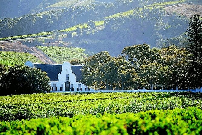 Private Winelands and Stellenbosch Franschhoek Wine Tasting Tour - Explore Stellenbosch Wineries