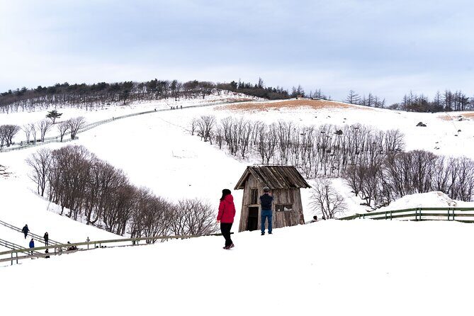 Private Winter Blossom Photo Tour with Free Photo Service - Who Would Love This Tour?