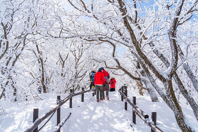 Private Winter Blossom Photo Tour with Free Photo Service - FAQ