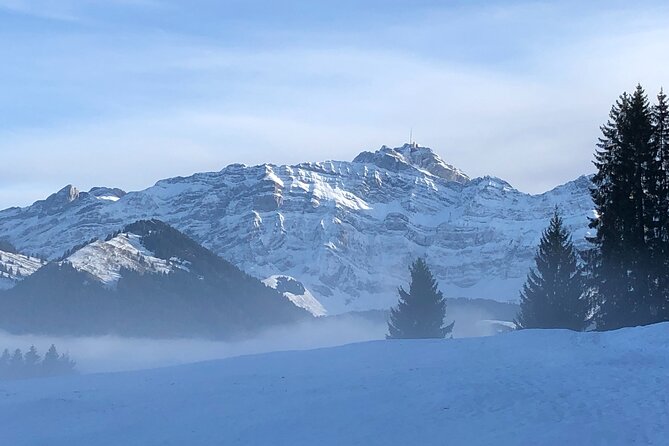 Private Winter Day Trip to Appenzell Mountain Säntis With Pick-Up - Directions for the Trip