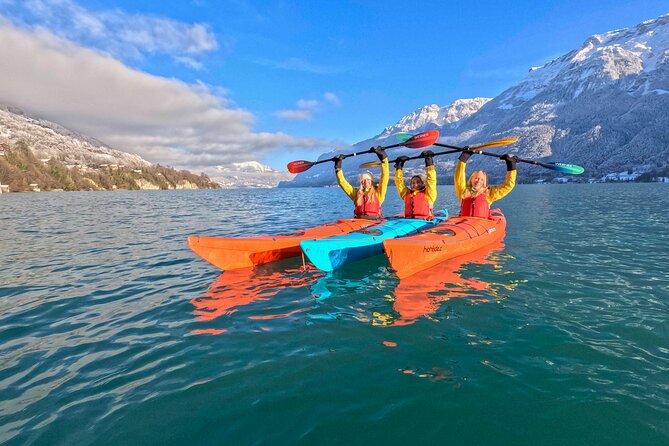 Private Winter Kayak Tour: Lake Brienz - Tour Overview