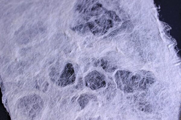 Private Workshop for Making Paper Last 1,000 Years in Ueno - Frequently Asked Questions