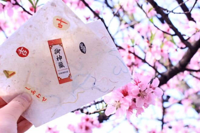 Private Workshop - Handmade Traditional Japanese Paper, Ueno - Experience Highlights