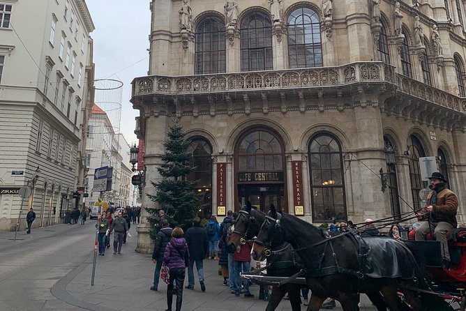 Private World War II Walking Tour in Vienna - Additional Information and Tour Details