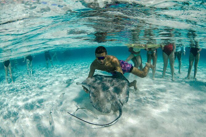 Private Yacht 48 ft Sting Ray City, Snorkel & Starfish Beach - The Experience: What Sets It Apart