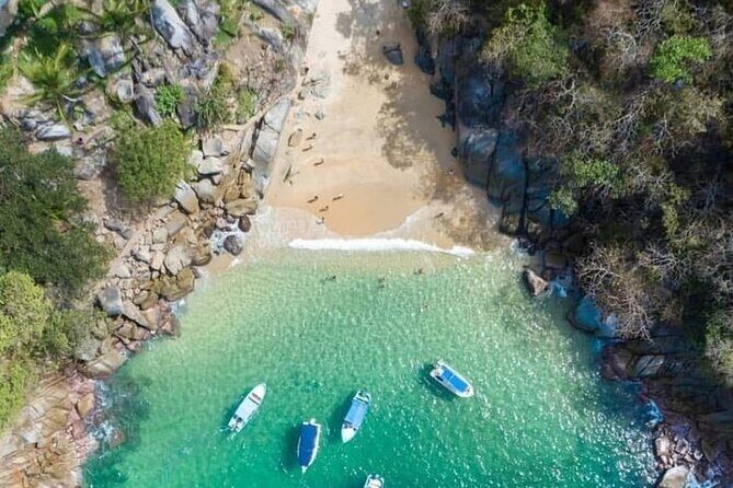 Private Yacht 4Hours Food & drinks included,price is only DEPOSIT - The Sum Up: Why Choose This Yacht Tour?