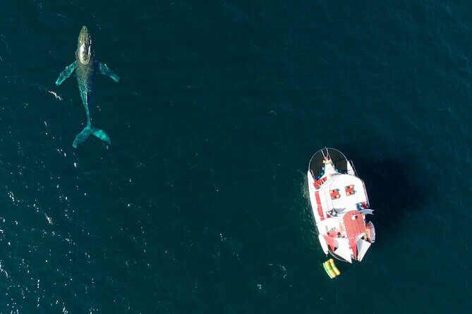 Private Yacht Charter ChicaFUN 3 Waterslides All Inclusive - The Experience in Detail