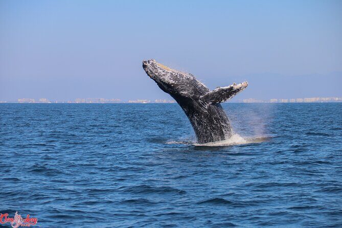 Private Yacht Charter on ChicaFun 1 Waterslides all inclusive - Who Should Consider This Tour?