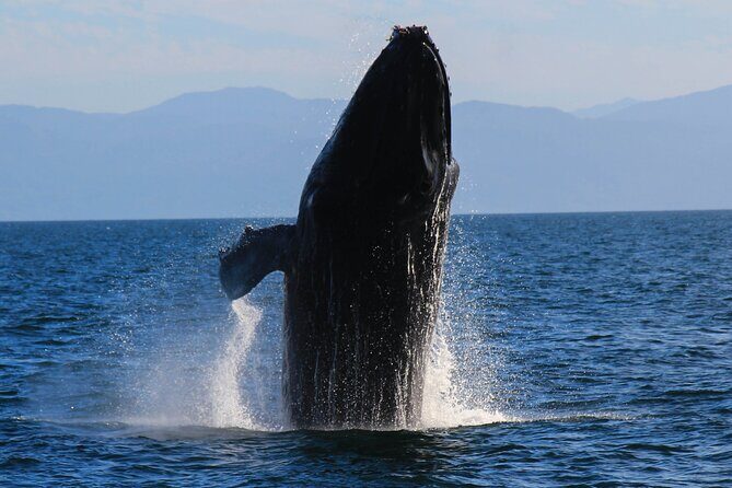 Private Yacht Charter on ChicaFun 1 Waterslides all inclusive - Final Thoughts