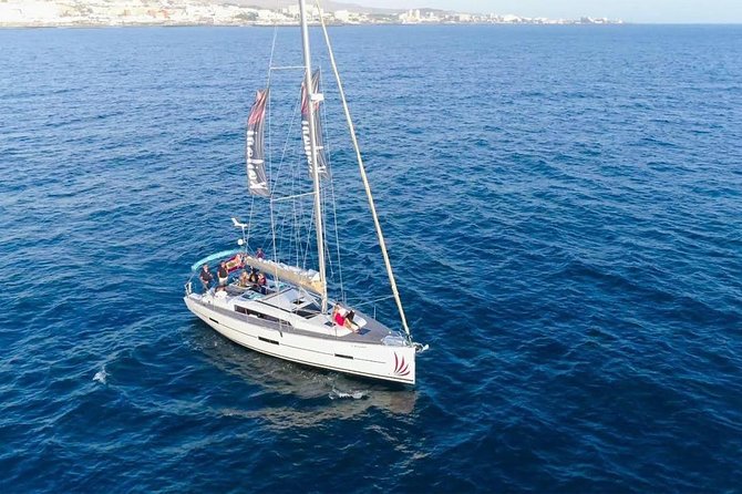 Private Yacht Charter With Whale Watching and Snorkeling  - Tenerife - Traveler Photos