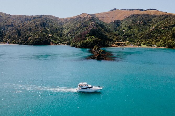 Private Yacht Cruise in the Marlborough Sounds New Zealand - Activities and Experiences