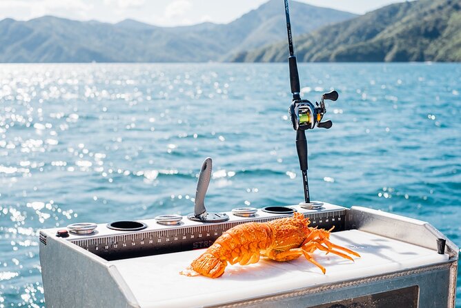 Private Yacht Cruise in the Marlborough Sounds New Zealand - The Sum Up