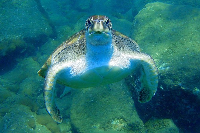 Private Yacht Excursion From Puerto Colon 3 Hours - What to Expect