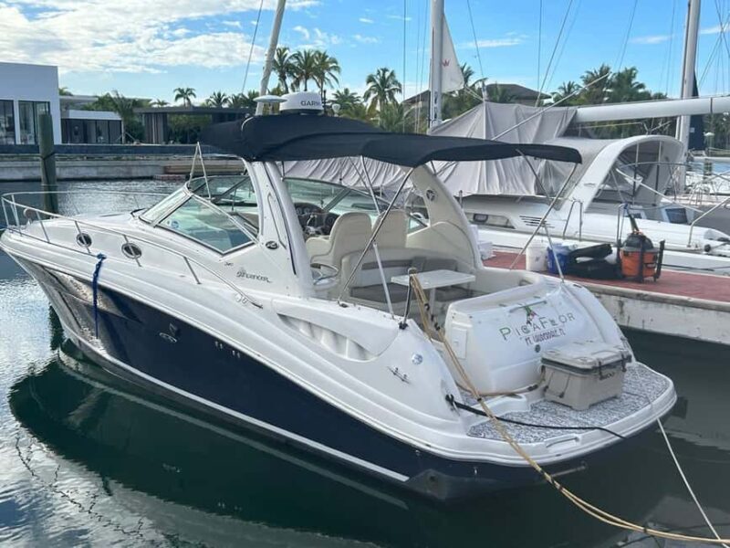 Private Yacht for Excursions in Punta Cana, Snorkeling+Booze - Good To Know  