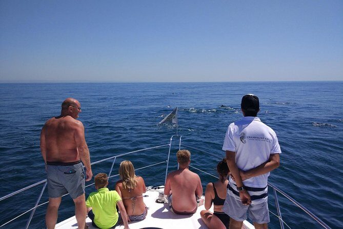 Private Yacht Hire in The Algarve - Majestic - Final Thoughts: Is It Worth It?