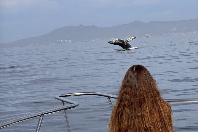 Private Yacht, Sightseeing, Snorkeling and Private beaches - Frequently Asked Questions