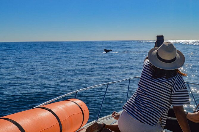 Private Yacht, Snorkeling or Sunset in Cabo San Lucas - Traveler Experience