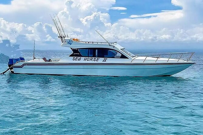 Private Yacht Trip Tour Bali - 8 Hours Day Trip Nusa Penida - SH2 - Good To Know