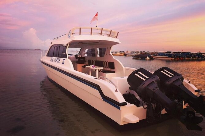 Private Yacht Trip Tour Bali - 8 Hours Day Trip Nusa Penida - SH2 - Inclusions and Amenities