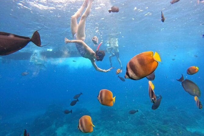 Private Yacht Trip Tour Bali - 8 Hours Day Trip Nusa Penida - SH2 - The Sum Up