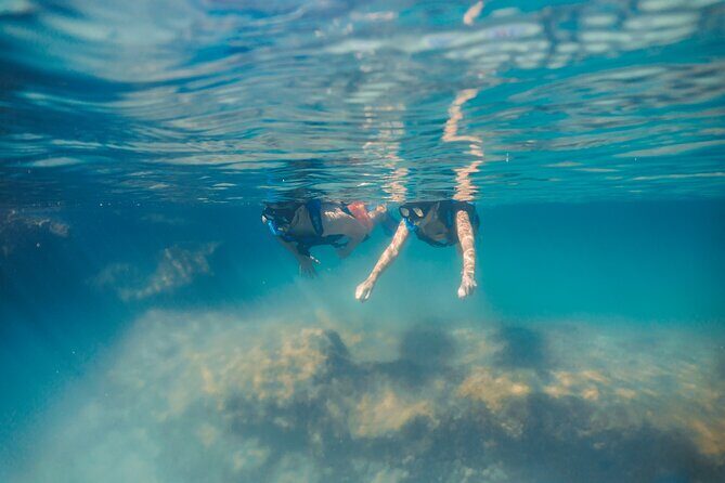 Private Yal-ku and Akumal Experience - Why This Tour Might Be Perfect for You