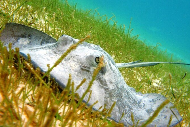 Private Yal-ku and Akumal Experience - Who Should Consider This Tour?